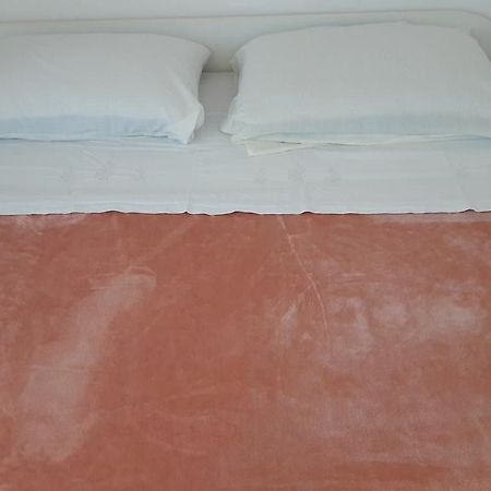 Apartment Amalija Primosten Ngoại thất bức ảnh